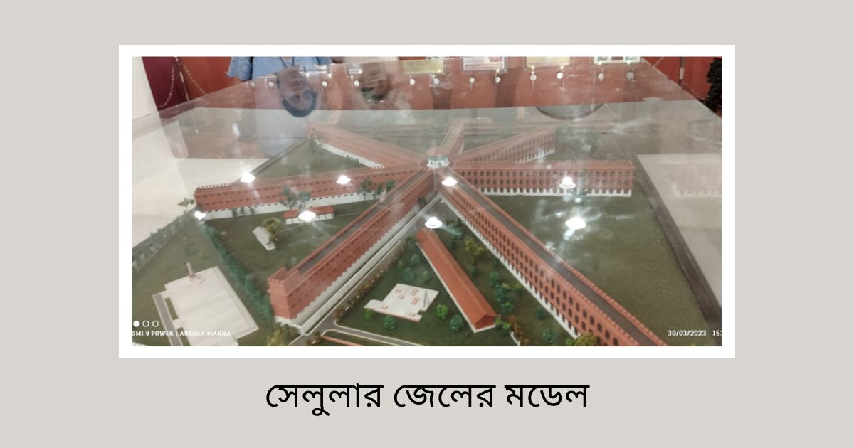 Cellular Jail Model