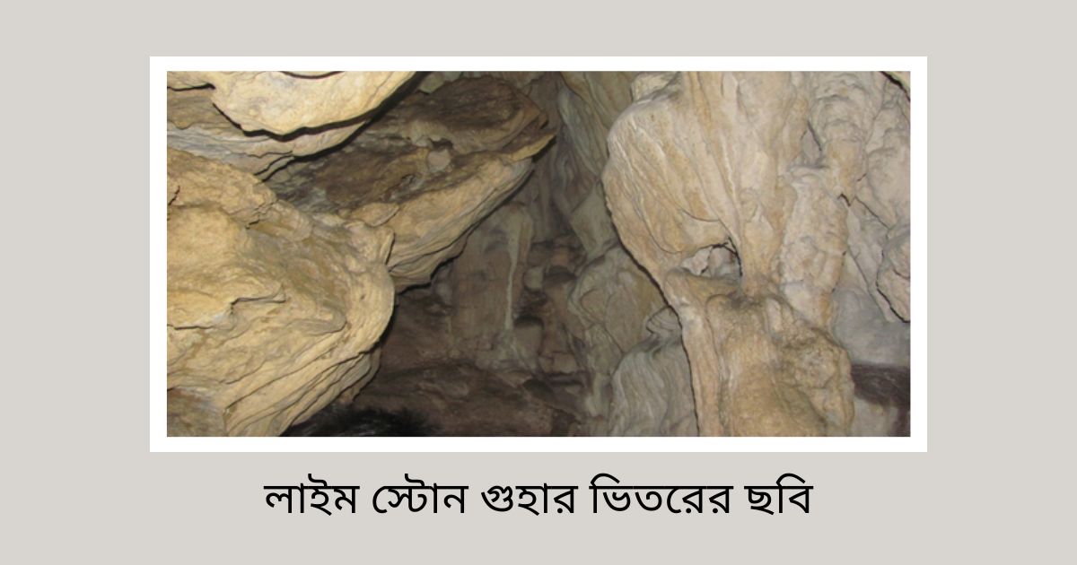 Inside the Limestone Cave